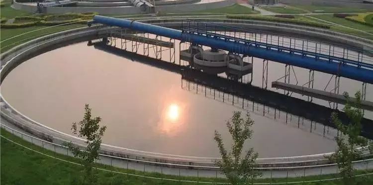 640.webp (14).jpg 640.webp (14).jpg