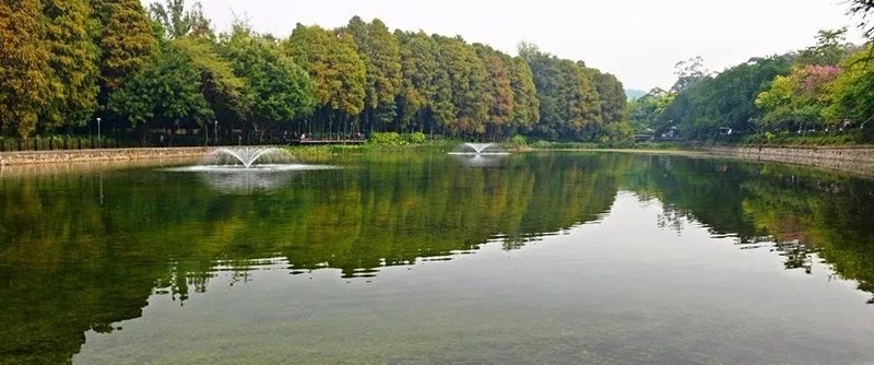 640 (1).webp (7).jpg