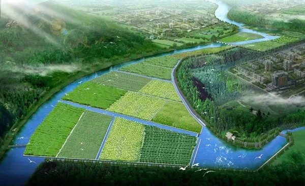 640 (1).webp (8).jpg