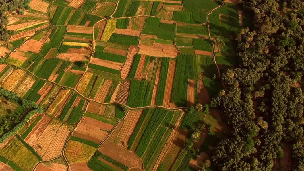 640 (1).webp (3).jpg