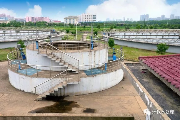 640.webp (4).jpg 640.webp (4).jpg