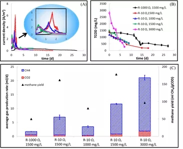 640.webp (16).jpg