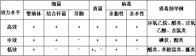 640 (2).webp (8).jpg