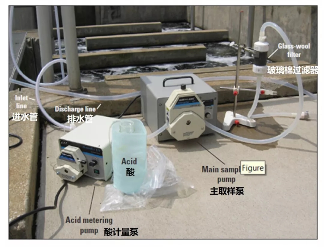 640 (2).webp (15).jpg