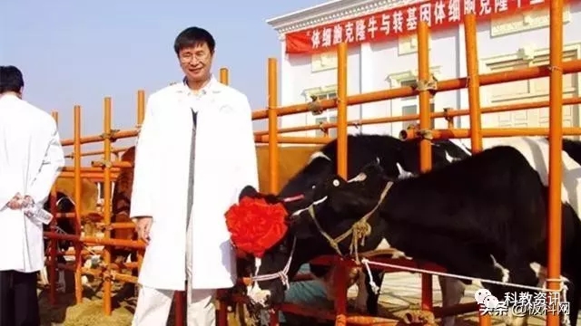 640.webp (29).jpg 640.webp (29).jpg