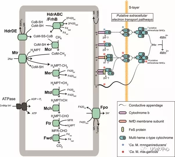 640.webp (33).jpg 640.webp (33).jpg
