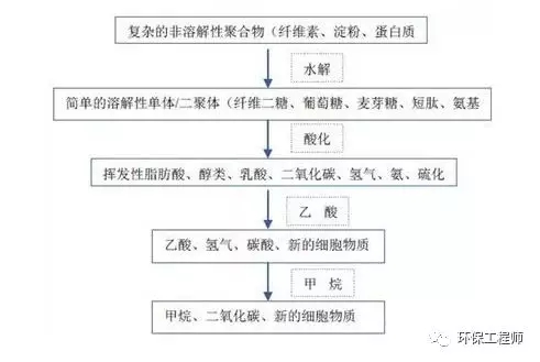 640 (3).webp (4).jpg