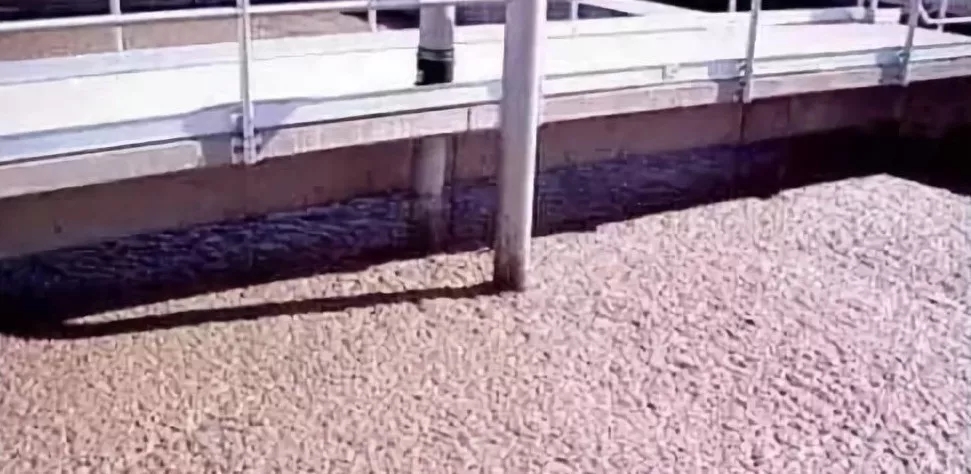 640.webp.jpg 640.webp.jpg