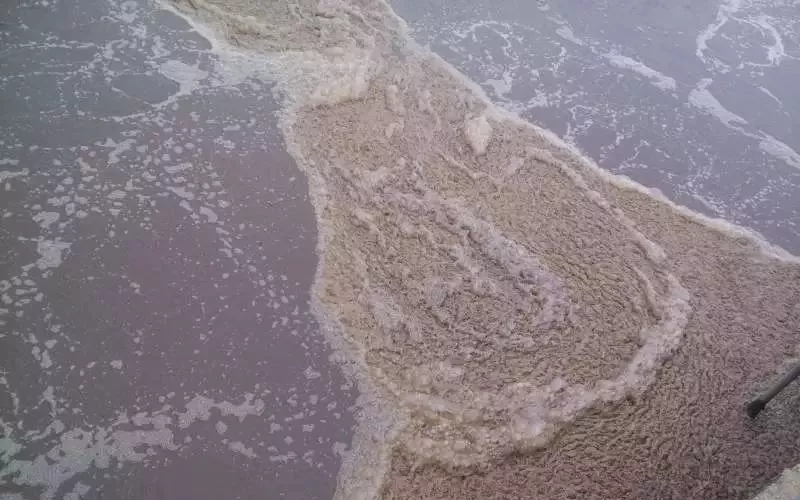 640.webp (3).jpg 640.webp (3).jpg