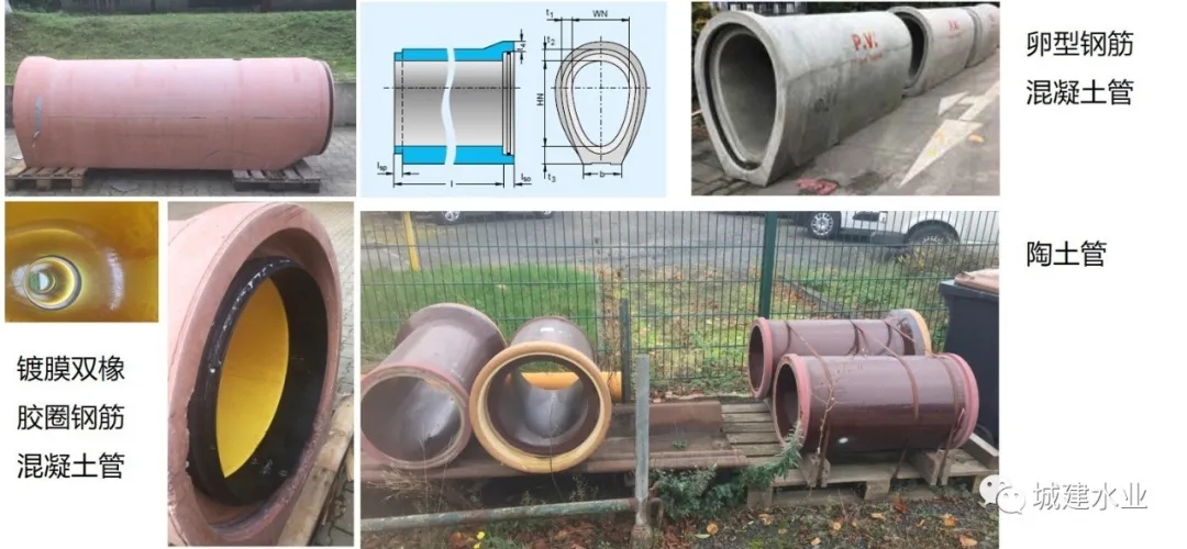 640 (2).webp (21).jpg