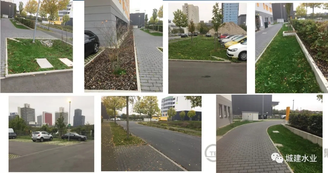 640 (2).webp (25).jpg