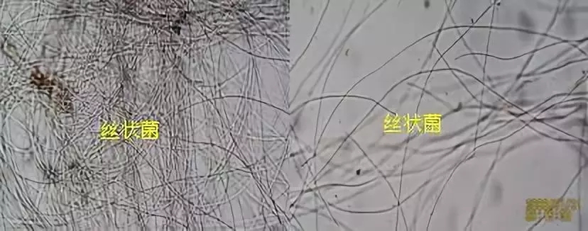 640.webp (47).jpg 640.webp (47).jpg