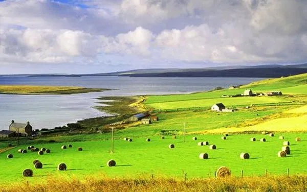 640.webp (55).jpg 640.webp (55).jpg