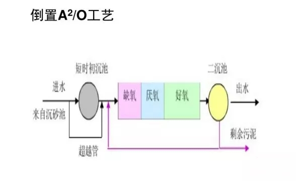 640.webp (1).jpg