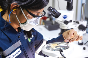 苏伊士PR_SCP becomes Thailand's first recycled plastics processor CN 2626.png